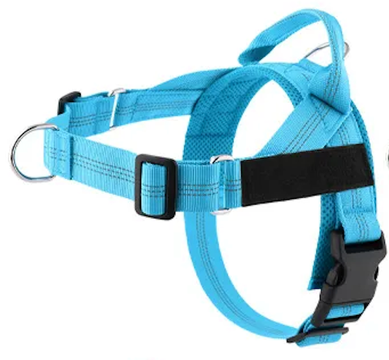 Blue Harness