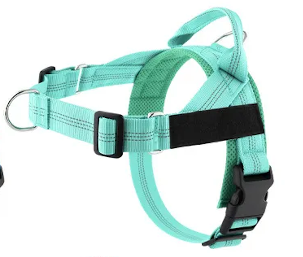 Teal Harness
