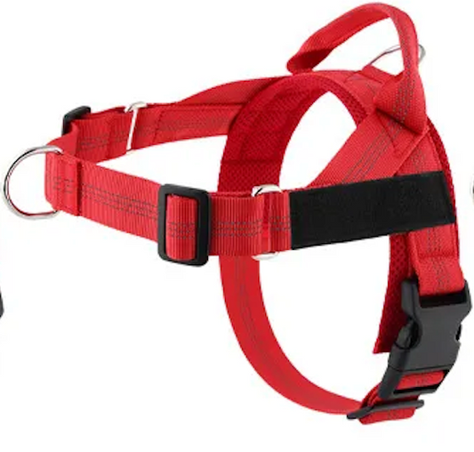 Red Harness