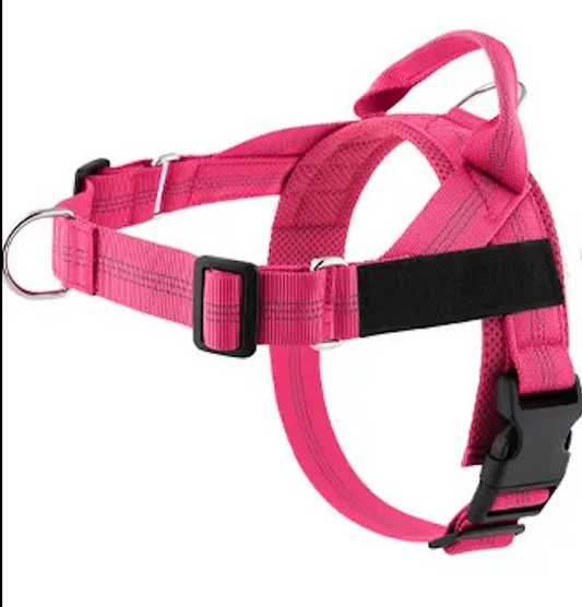 Pink Harness