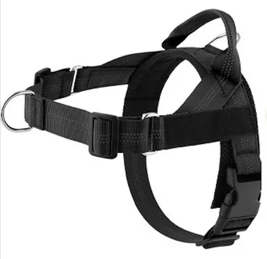 no-pull personalized harness