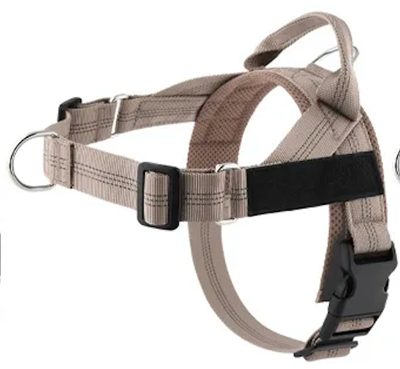 no-pull personalized harness